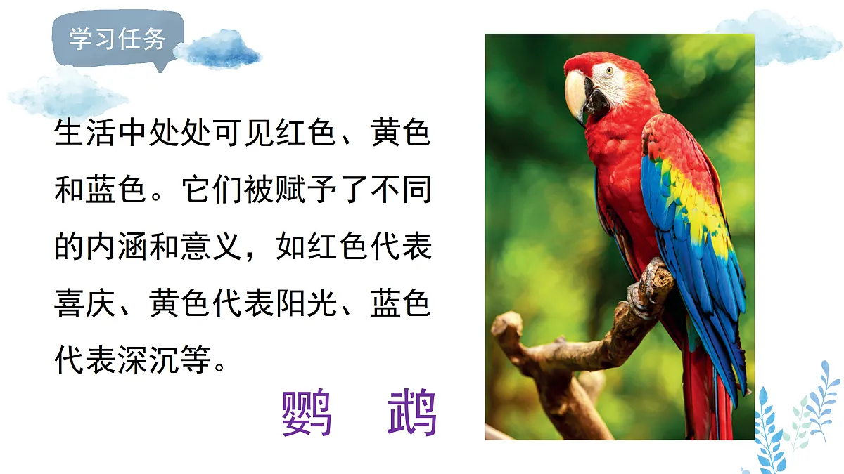 17496556第4页