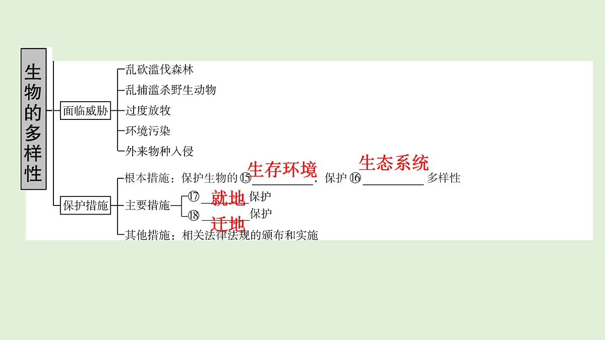 17498150第3页