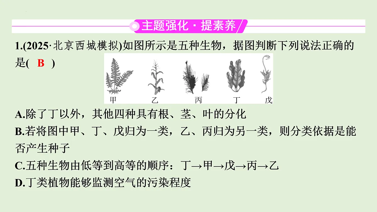 17498150第4页