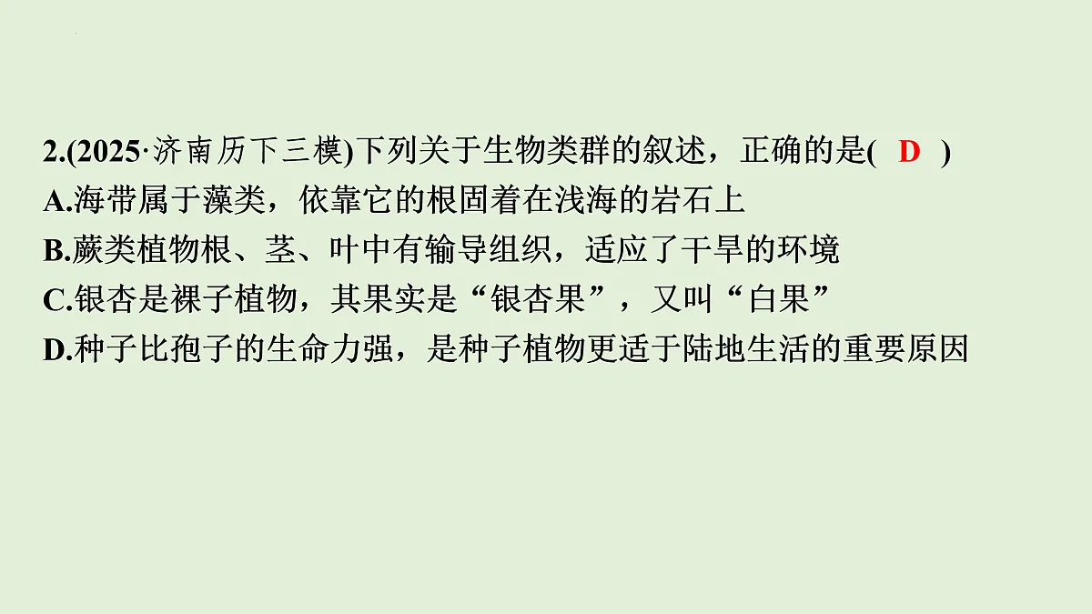 17498150第5页
