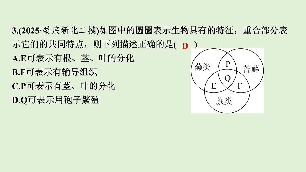 17498150第6页