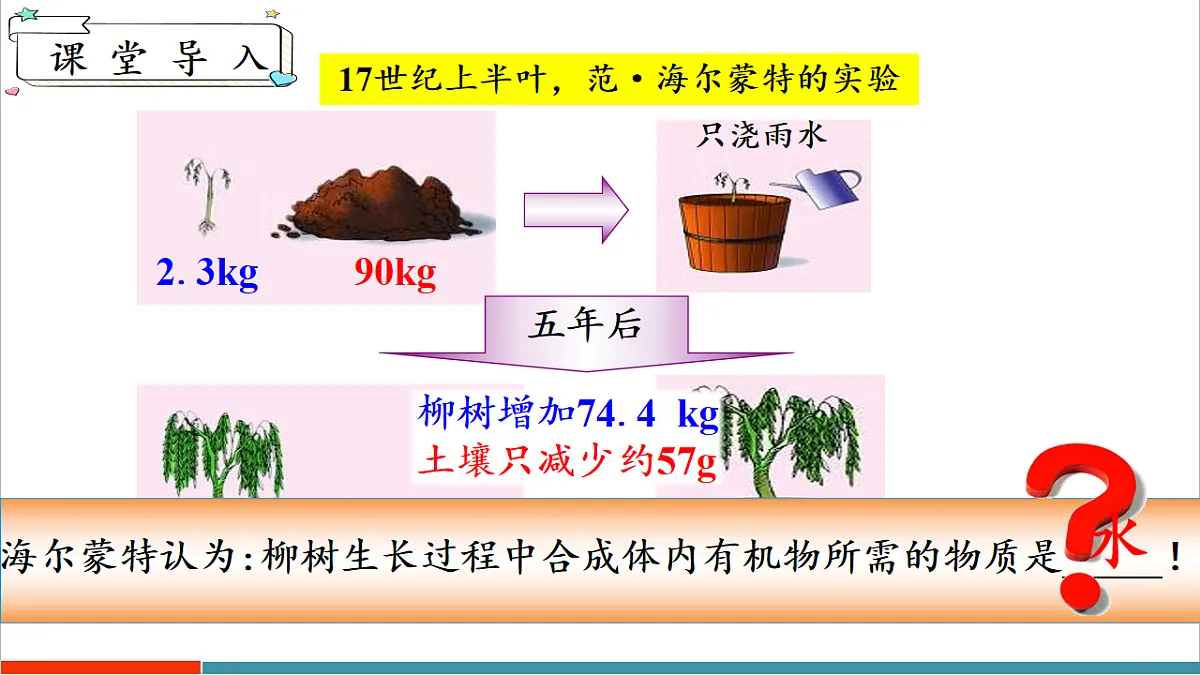 12.1 植物是生物圈中的生产者第4页