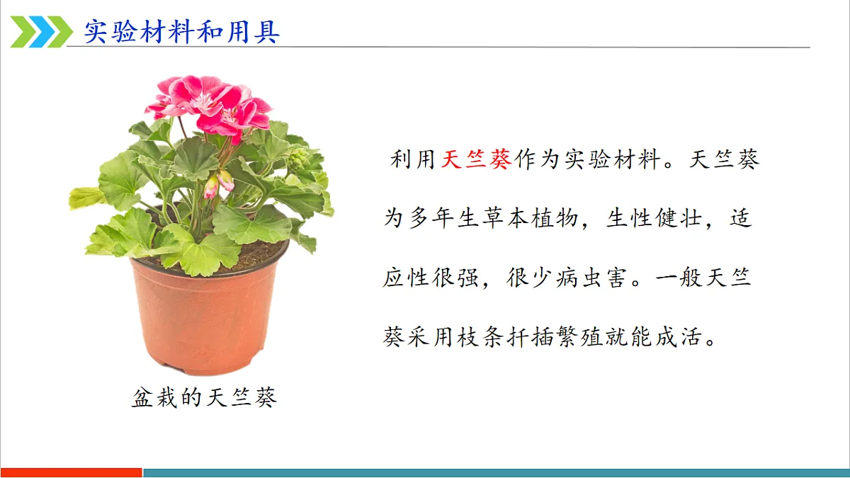 12.1 植物是生物圈中的生产者第7页