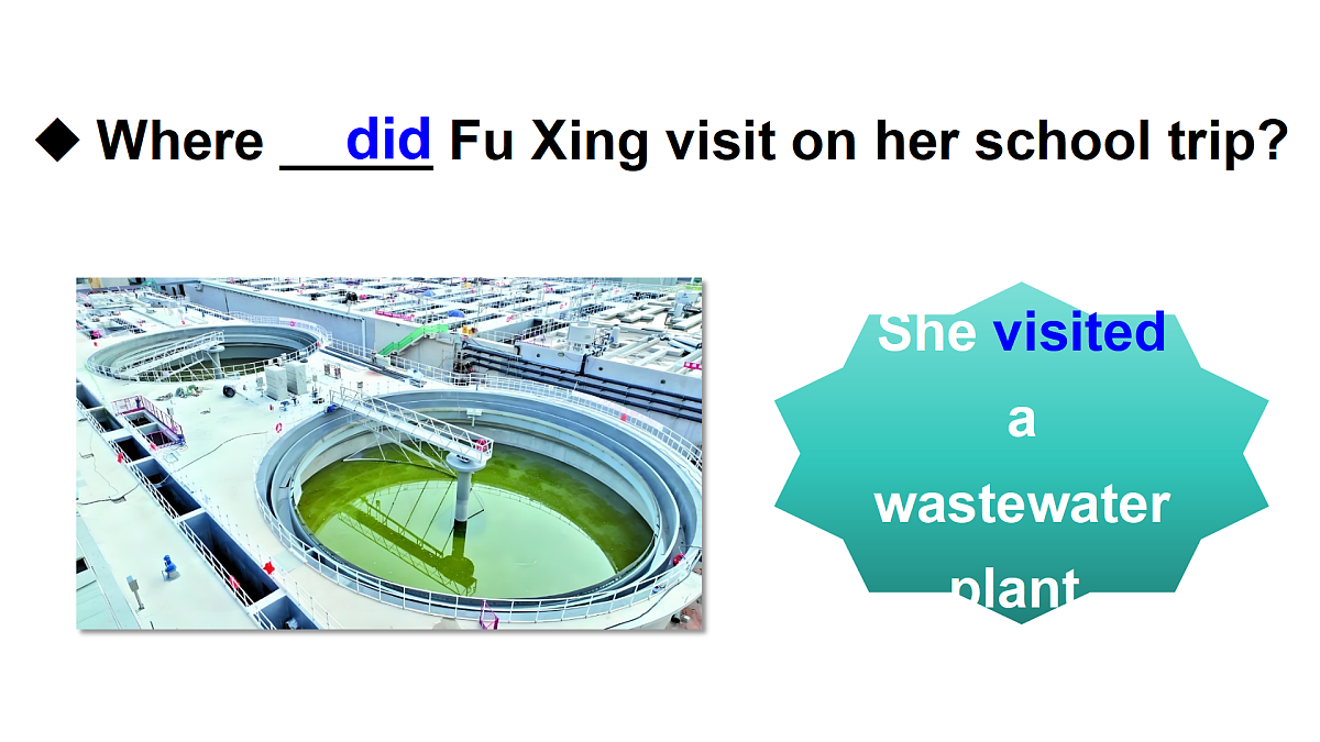 17500164第3页