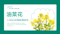 学前教育《油菜花》课件