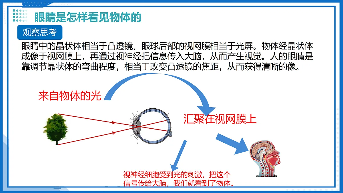 17500856第7页
