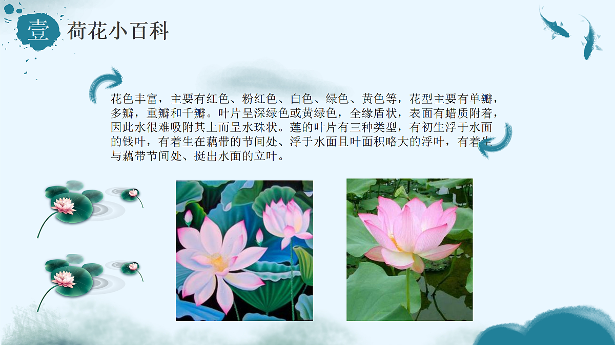 17500970第5页
