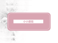 学前教育《蘑菇》课件