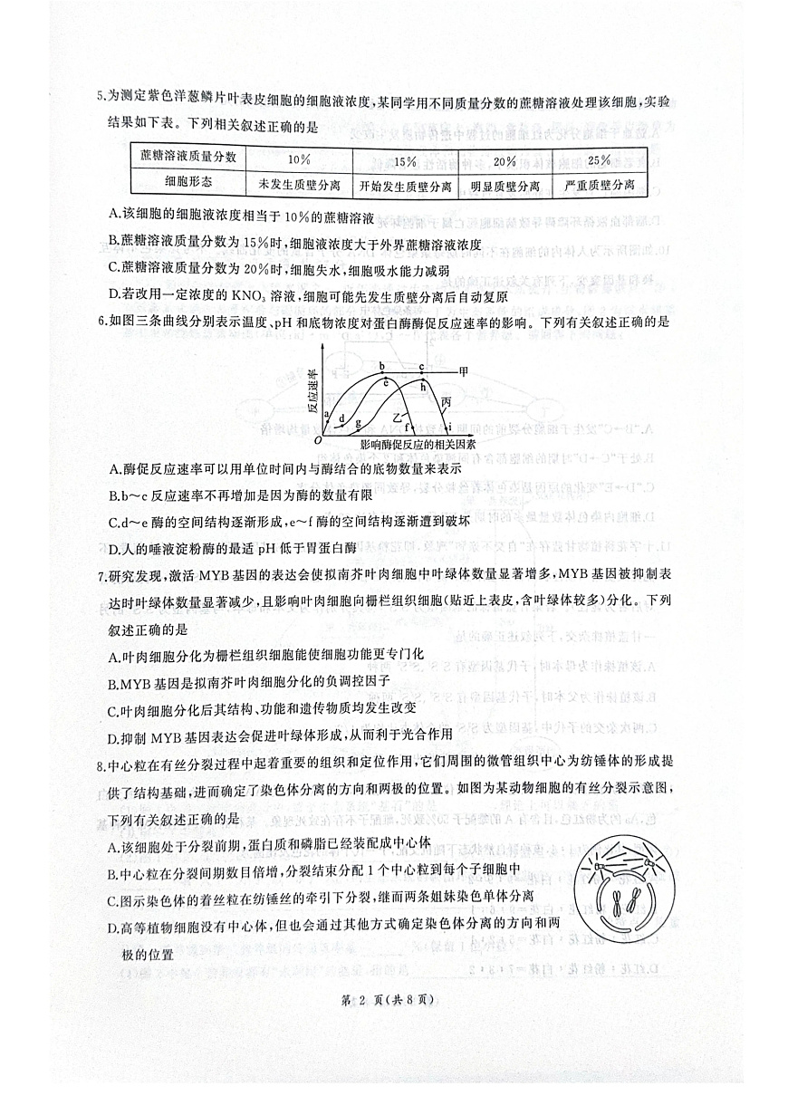 河北省衡水市2025-2026学年高三上学期四调考试生物试题(含答案)第2页