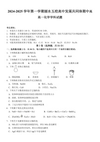 浙江省丽水市五校高中发展共同体2024-2025学年高一上学期11月期中联考化学试题含答案