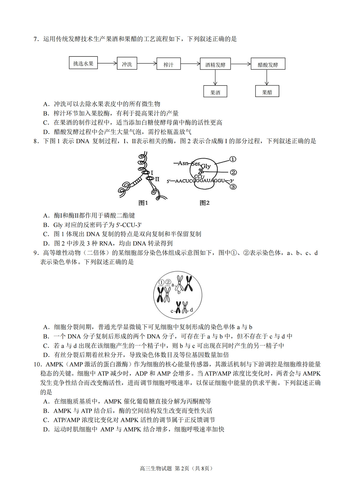 17502937第2页