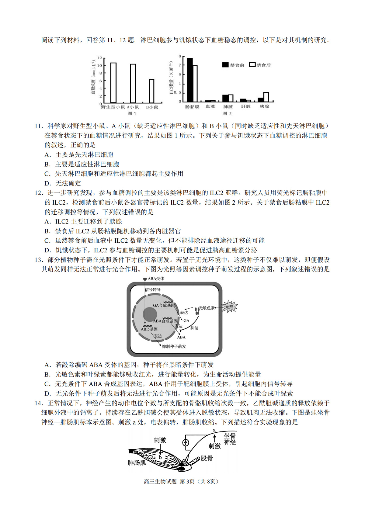 17502937第3页