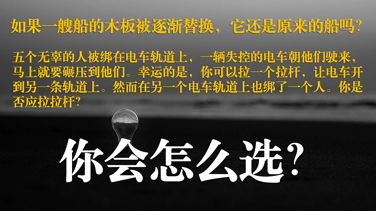 17503523第3页