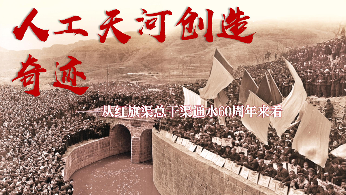 17503533第5页