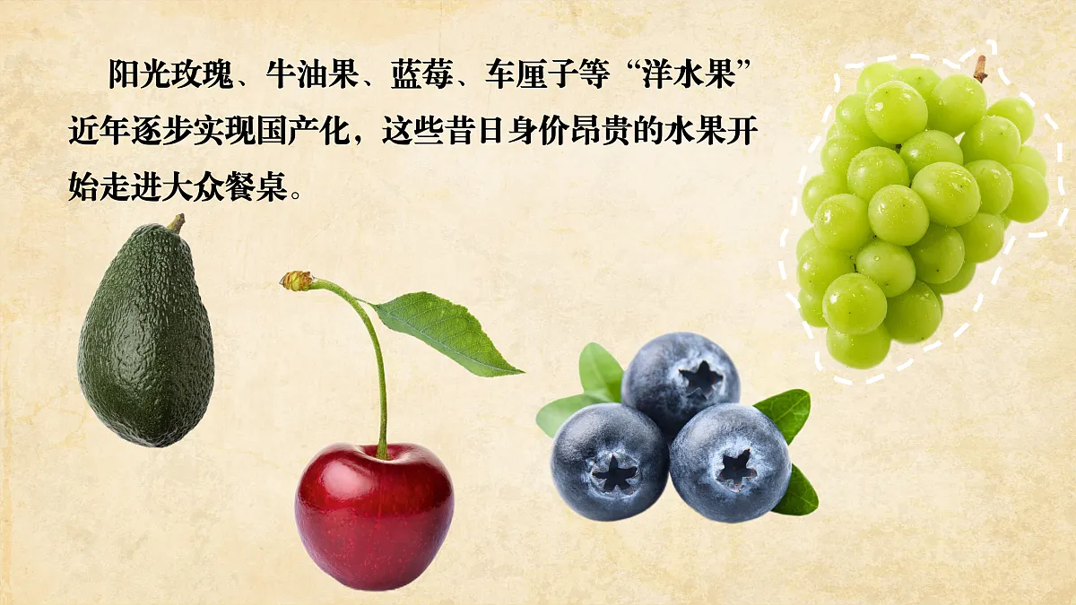 17503543第2页