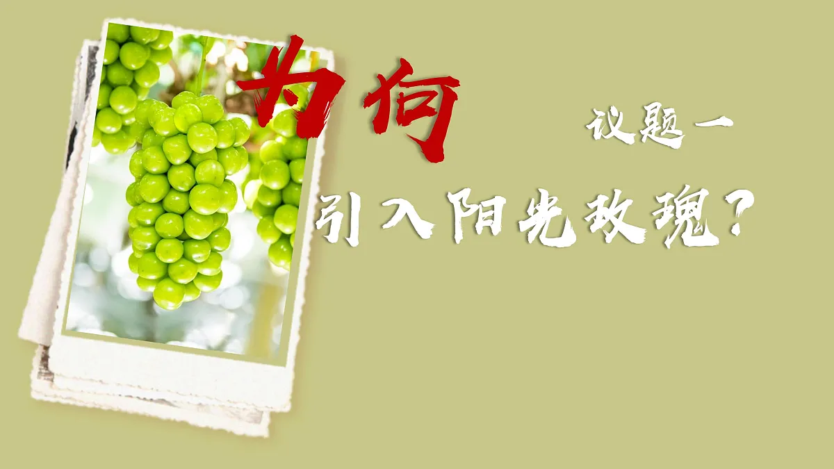 17503543第5页