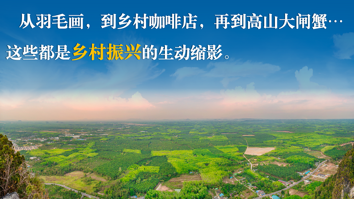17503553第6页