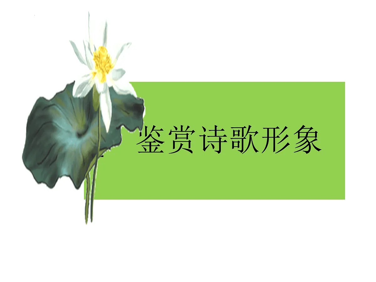 17503753第1页