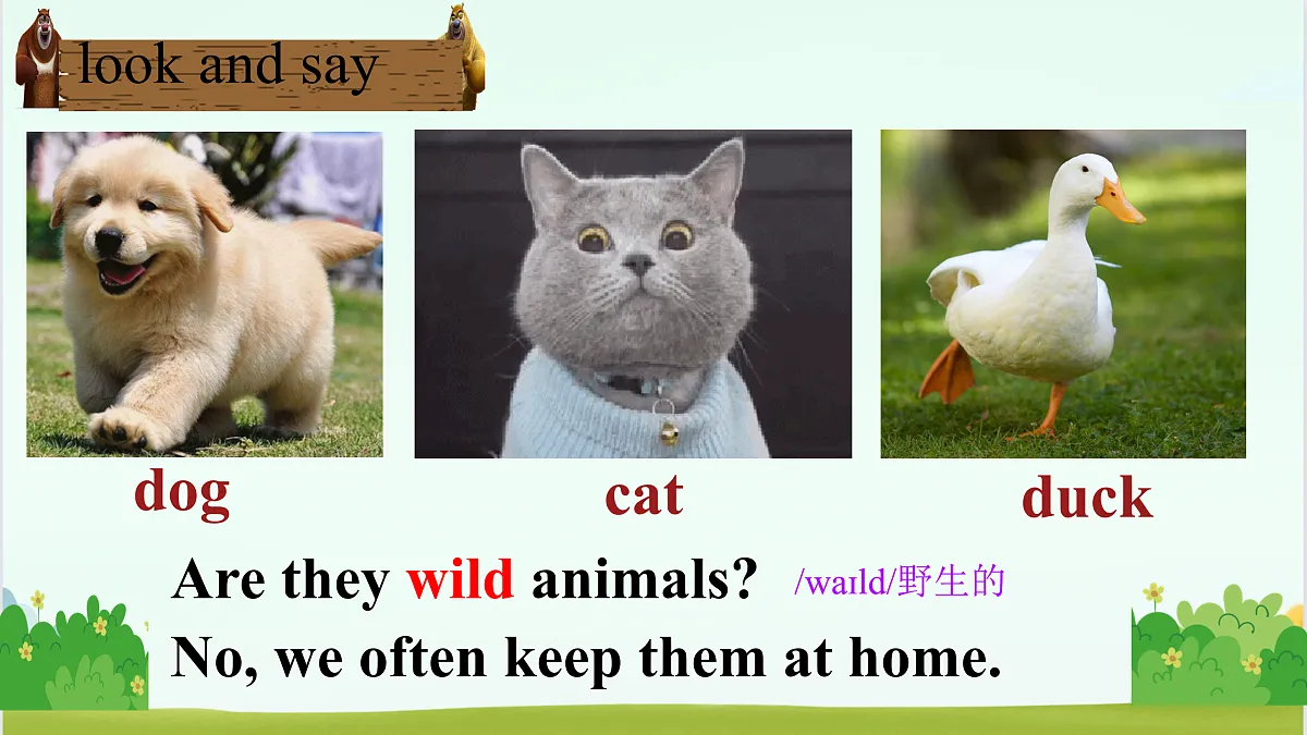 17506097第3页