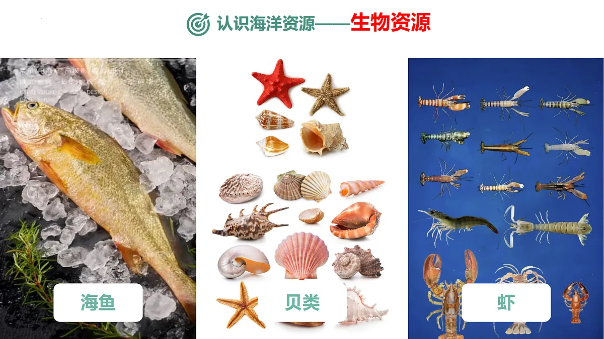 17506443第5页