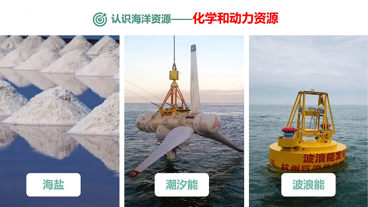 17506443第7页