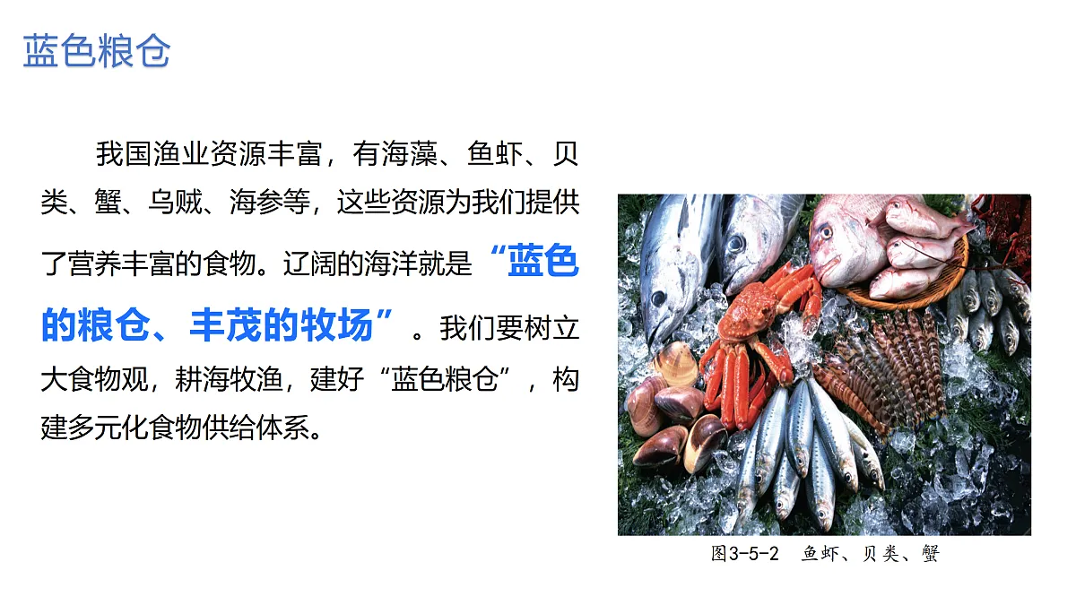 17506443第8页