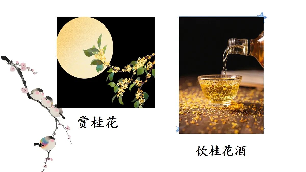 17507219第3页