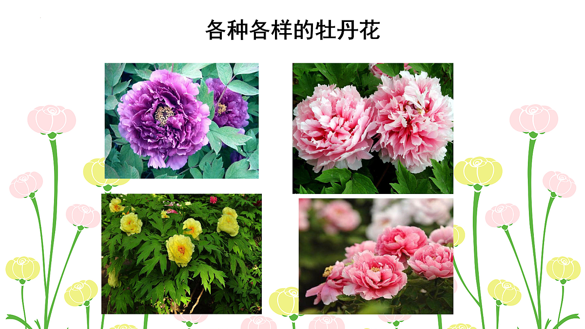 17507223第8页