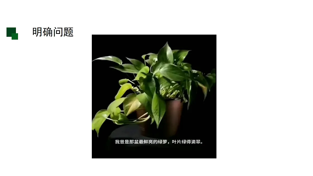 17507741第3页