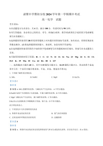 浙江省绍兴市诸暨市2024-2025学年高一上学期11月期中考试化学试卷（Word版附解析）