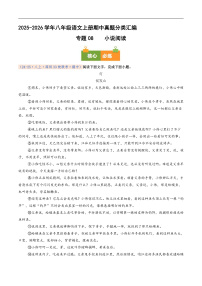 期中真题分类汇编 专题08 小说阅读（原卷+解释）2025-2026学年八年级语文上学期