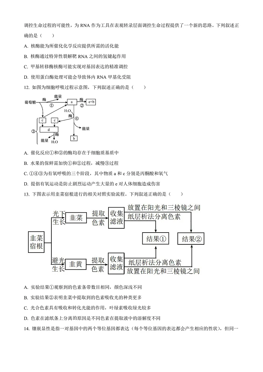 四川省成都外国语学校2023-2024学年高二上学期9月月考生物试题 Word版无答案第3页