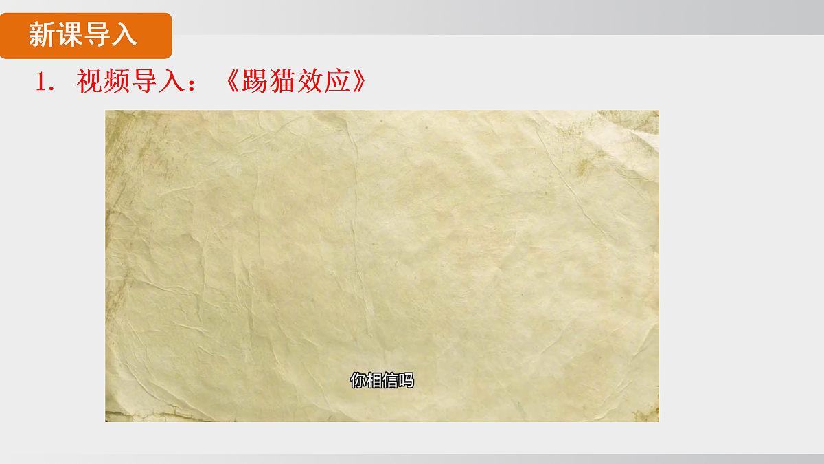 17508701第3页