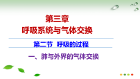 冀少版（2024）七年级下册（2024）肺与外界的气体交换多媒体教学ppt课件