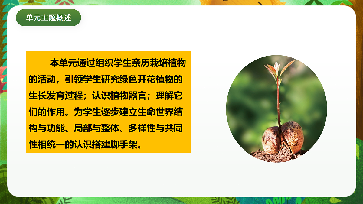 教科版(2017)科学四下1.1《种子里孕育着新生命》课时课件第2页