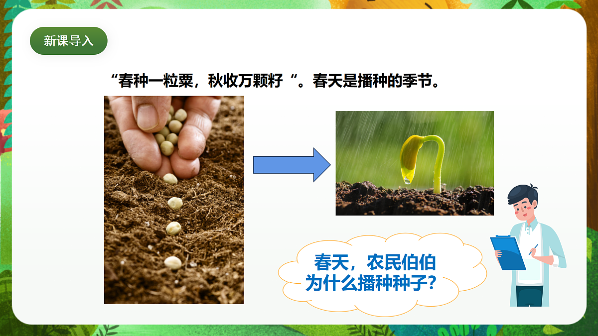 教科版(2017)科学四下1.1《种子里孕育着新生命》课时课件第5页