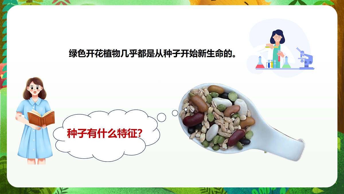 教科版(2017)科学四下1.1《种子里孕育着新生命》课时课件第7页