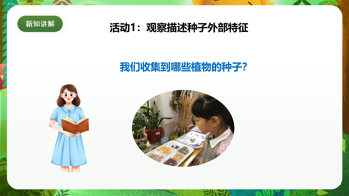 教科版(2017)科学四下1.1《种子里孕育着新生命》课时课件第8页