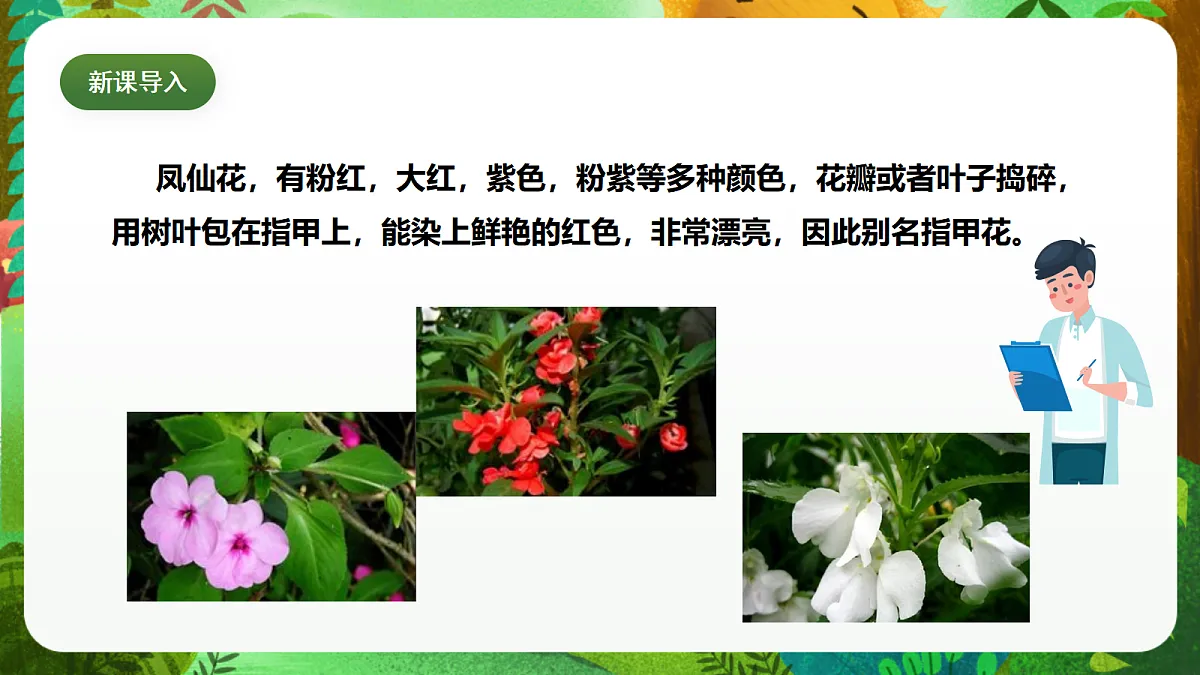 教科版(2017)科学四下1.2《种植凤仙花》课时课件第5页