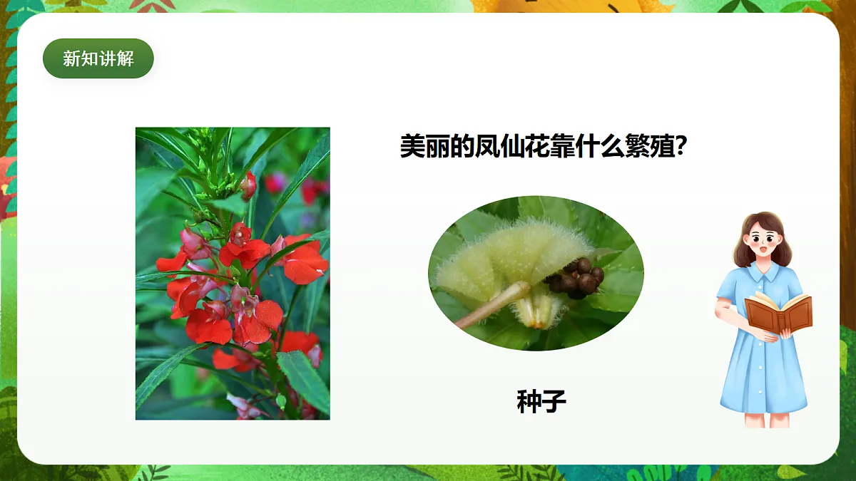 教科版(2017)科学四下1.2《种植凤仙花》课时课件第6页