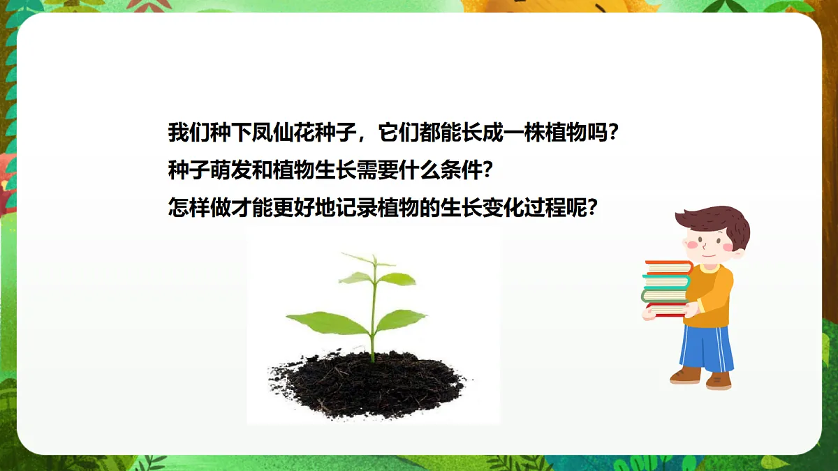 教科版(2017)科学四下1.2《种植凤仙花》课时课件第7页