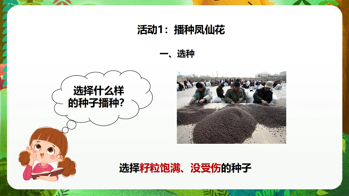 教科版(2017)科学四下1.2《种植凤仙花》课时课件第8页