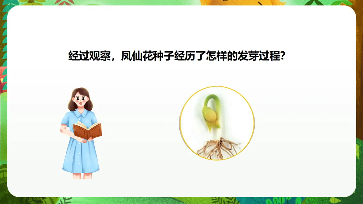 教科版(2017)科学四下1.3《种子长出了根》课时课件第8页