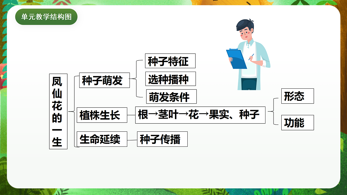教科版(2017)科学四下1.4《茎和叶》课时课件第3页