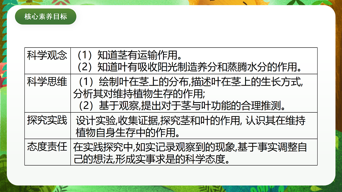 教科版(2017)科学四下1.4《茎和叶》课时课件第4页