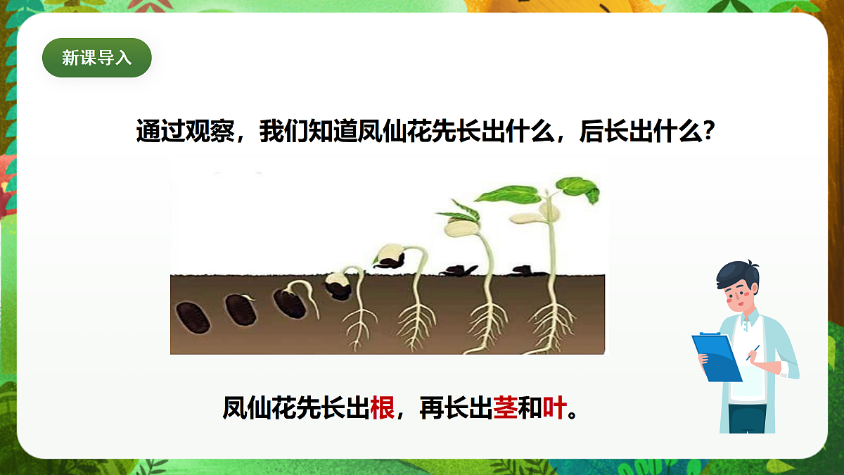 教科版(2017)科学四下1.4《茎和叶》课时课件第5页