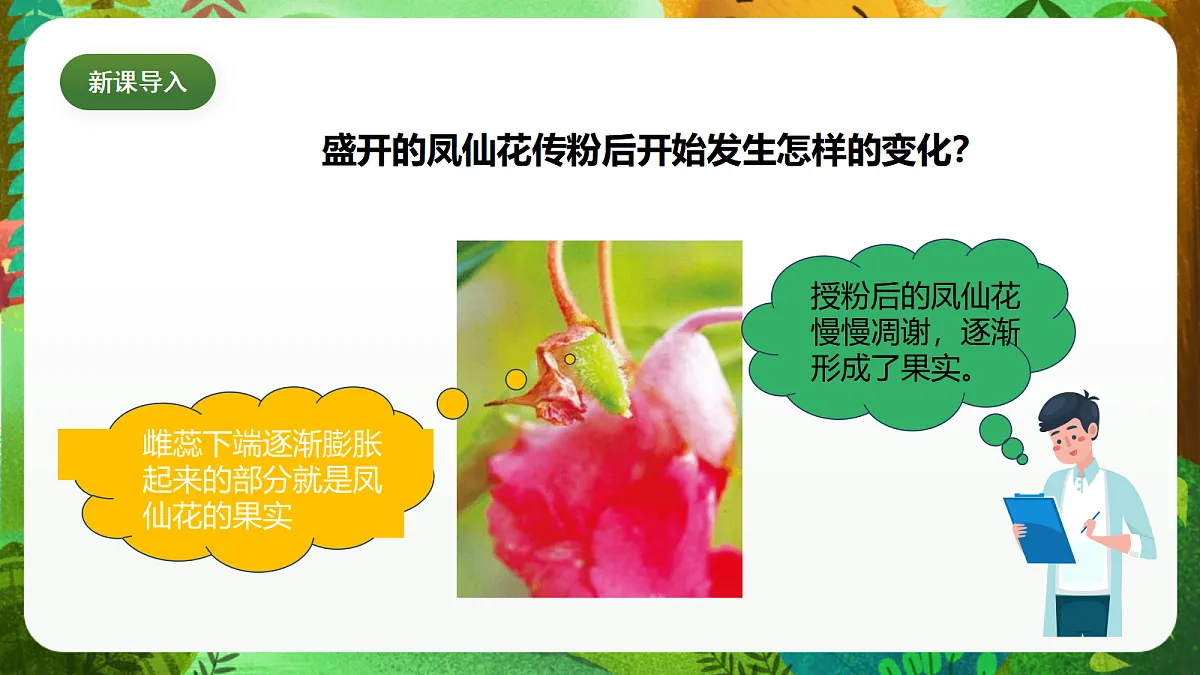 教科版(2017)科学四下1.6《果实和种子》课时课件第5页
