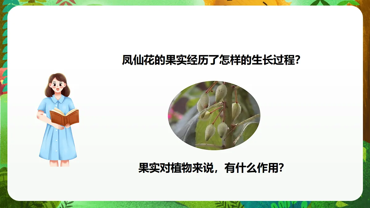教科版(2017)科学四下1.6《果实和种子》课时课件第7页