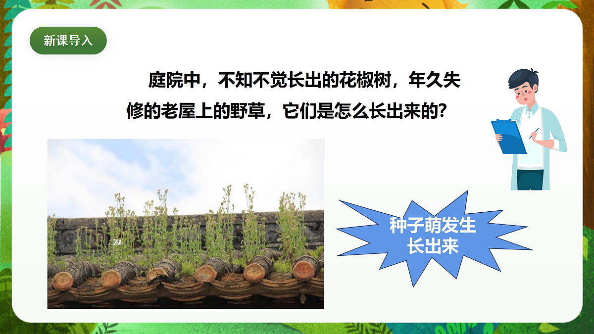 教科版(2017)科学四下1.7《种子的传播》课时课件第5页