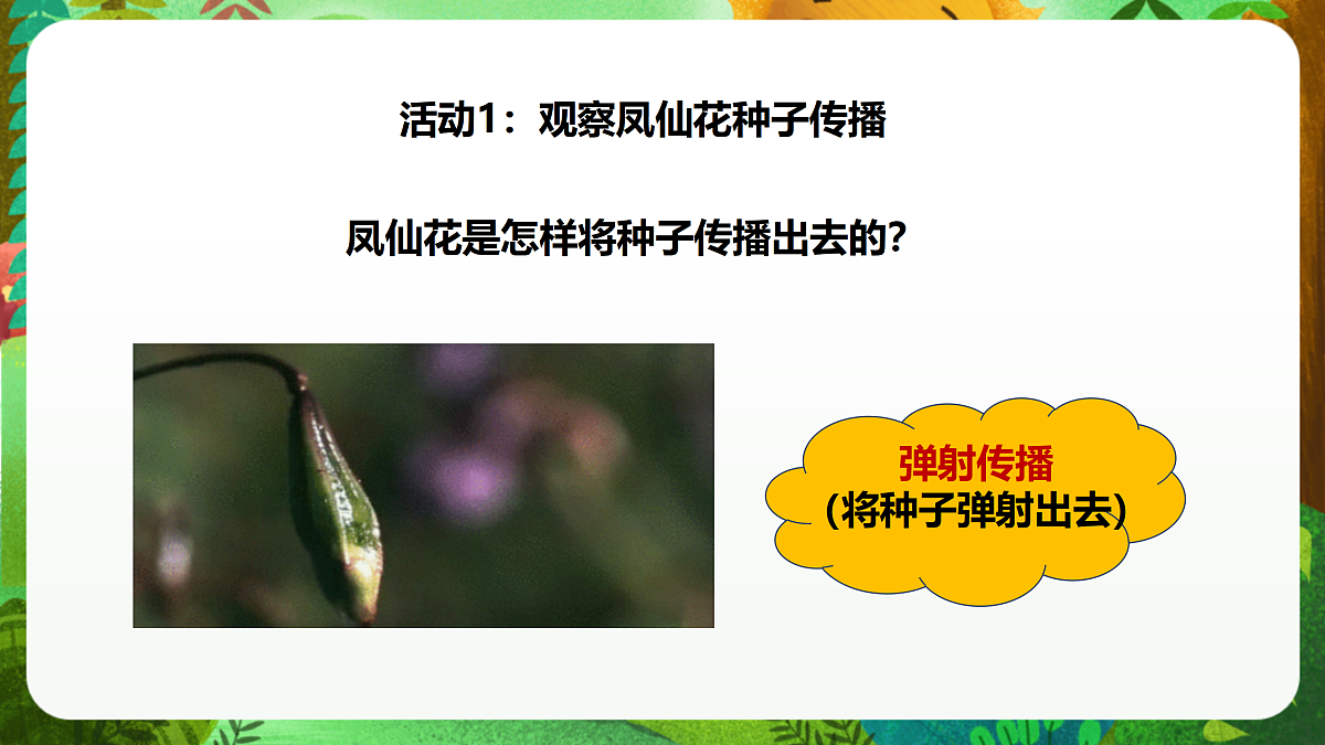 教科版(2017)科学四下1.7《种子的传播》课时课件第8页